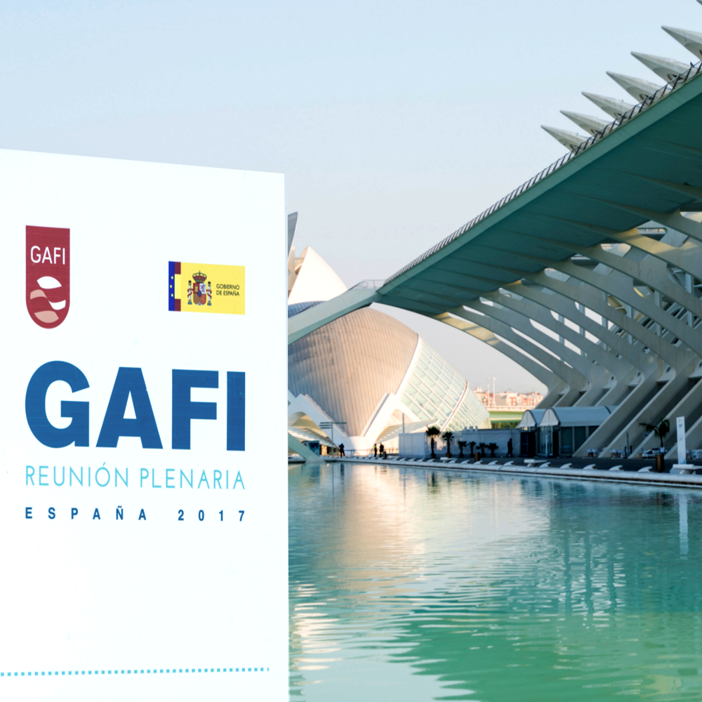 FATF Annual Report 2016-2017 (Spanish Presidency)